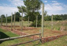 NEW AVIARIES FOR AFRICA PRINT CHARITY RECIPIENT