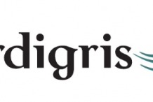 VERDIGRIS WELCOMES SHIMIZU