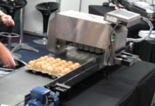 MAPLEJET AFRICA ANNOUNCED THE WORLDWIDE LAUNCH OF THE PD ARRAY AT PROPAK CAPE 2011