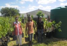 Konica Minolta South Africa Sows Seeds Of Success In Lawley