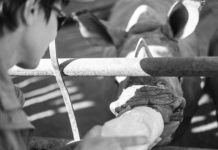 Konica Minolta South Africa Adopts Seven Orphaned Rhinos