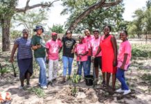 Konica Minolta South Africa Continues To Make South Africa Greener