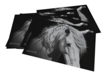 Ricoh Makes 2000th Sale With Ricoh Pro C7100 Colour Cut Sheet Press