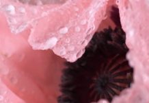 Monadnock Paper Mills Partners With HS Manufacturing Group