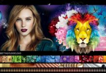 Bobst Introduces THQ FlexoCloud