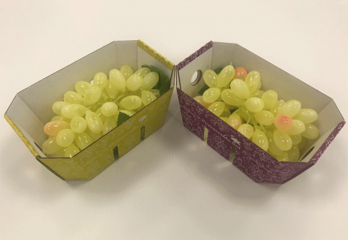 Grapes_Packaging_Web