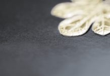 Hot Foil Stamping Makes Brands And Their Packaging Stand Out