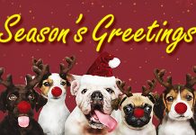 Season’s Greetings From Africa Print