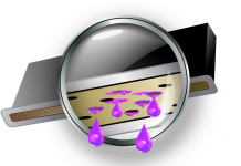 The Future Of Printing Is Set For Digital And For Inkjet