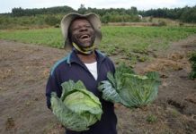 Sappi Project Helps Communities Sustain Themselves