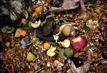 Avery Dennison Announces New Compost Certification And Material For Labels