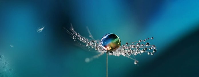 sustainability-cover-bg