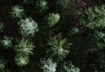 HP Continues Its Commitment To A Low-Carbon And Circular Economy