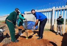 Konica Minolta South Africa And NPO Partner Plant 50 Trees At School Konica Minolta South Africa And NPO Partner Plant 50 Trees At School