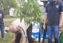 Konica Minolta South Africa And NPO Partner Continue Greening Areas Across South Africa Konica Minolta South Africa And Partner Continue Greening Areas Across South Africa