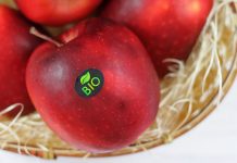 Felix Schoeller Group Expands Facestock Product Portfolio For Inkjet Printing Felix Schoeller Group Expands Facestock Product Portfolio