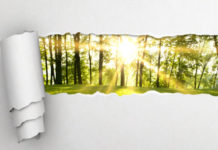 Paper Producers’ Commitment To Sustainability Has Transformed The Circularity Of Paper Products Paper Producers’ Commitment To Sustainability Has Transformed The Circularity Of Paper Products