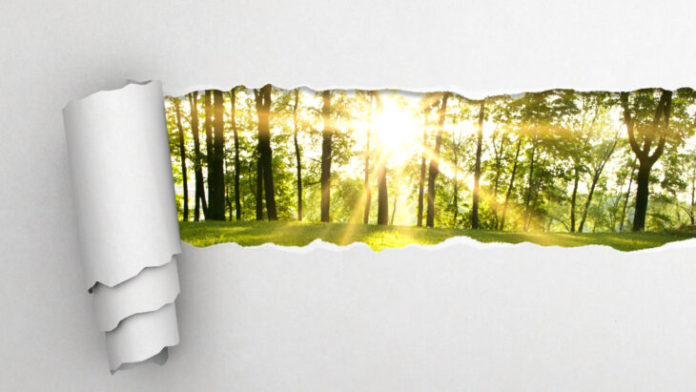 Paper Producers’ Commitment To Sustainability Has Transformed The Circularity Of Paper Products