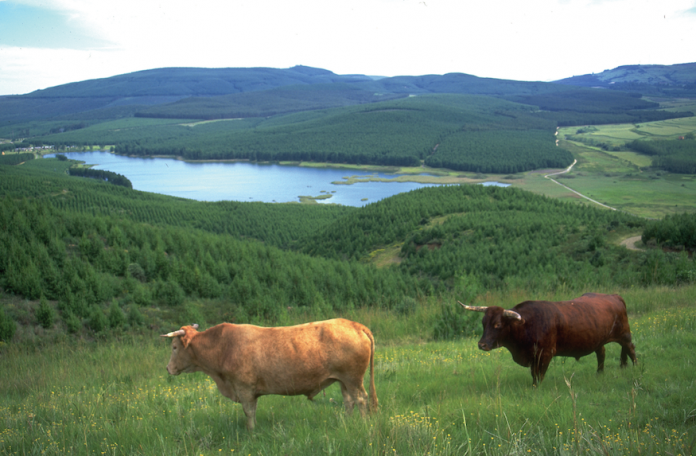 Sappi Partnership Aims To Improve Water Security Sappi Partnership Aims To Improve Water Security