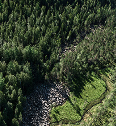 UPM Recognised For Stance Against Deforestation UPM Recognised For Stance Against Deforestation