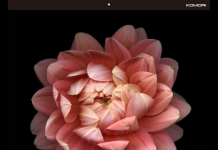 Komori Calendar Produced For 100th Anniversary Komori Calendar Produced For 100th Anniversary