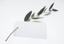 The Benefits Of Embossing And Embellishing The Benefits Of Embossing And Embellishing