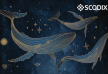 Scodix Announces Completion Of Latest Recyclability Tests Scodix Announces Completion Of Latest Recyclability Tests