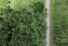 Which Print Sector Is The Least Sustainable? Which Print Sector Is The Least Sustainable?