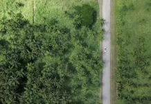 Putting Environmental Sustainability At The Heart Of The Organisation Putting Environmental Sustainability At The Heart Of The Organisation