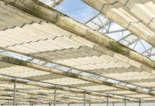 Getting The Facts Straight About Paper’s Environmental Impact Getting The Facts Straight About Paper's Environmental Impact