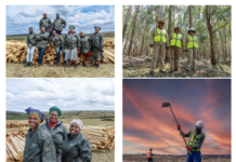Sappi Announces Four Decade Milestone Of Community Project Sappi Announces Four Decade Milestone Occasion Of Community Project