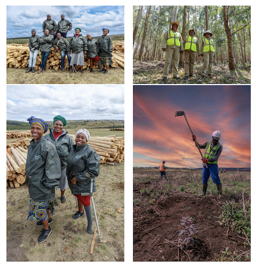 Sappi Announces Four Decade Milestone Occasion Of Community Project Sappi Announces Four Decade Milestone Occasion Of Community Project