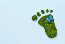 Demand For Sustainable Packaging Is Both A Challenge And Opportunity For Printers