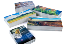 Tecnau Introduces Guillotine Cutter Tecnau Introduces New Guillotine Cutter