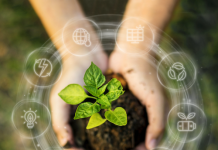 Esko Unveils Packaging Carbon Emission Calculation Solution Esko Unveils New Carbon Emission Calculation Capability