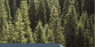 Two Sides North America Continues To Highlight The Essential Role Of Paper Two Sides North America Continues To Highlight The Essential Role Of Paper