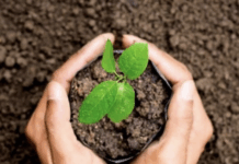 Konica Minolta South Africa Announces Significant Environmental Milestone Konica Minolta South Africa Announces Significant Environmental Milestone