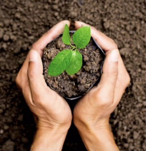 Konica Minolta South Africa Announces Significant Environmental Milestone Konica Minolta South Africa Announces Significant Environmental Milestone