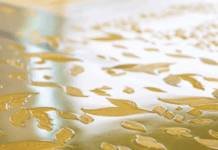 Miraclon Launches Advanced Plate Technology Miraclon Launches Advanced Plate Technology